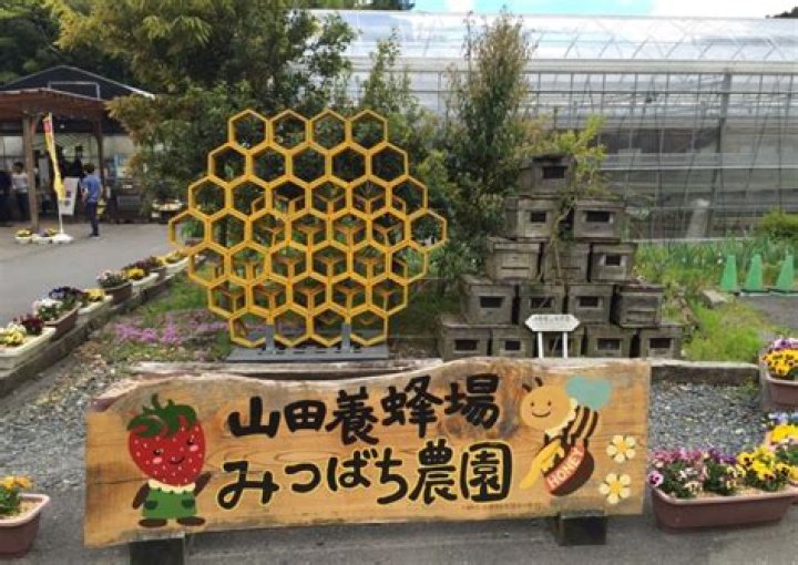 山田みつばち農園 山田満生の養蜂イメージ