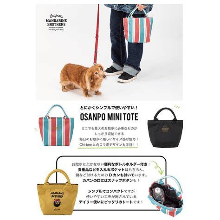 おさんぽjkいちごちゃんとは？見た目・魅力・楽しみ方を取材する