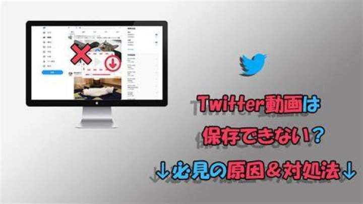 twitter 動画 保存 見れない 原因 対処