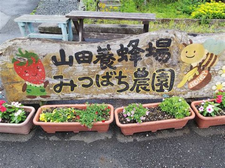 山田みつばち農園 山田満生とは？養蜂の魅力と活動を丁寧に追う